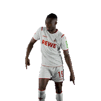 Fc Cologne Bundesliga Sticker by 1. FC Köln