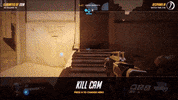 Overwatch Wtf GIF