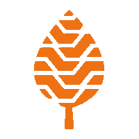 JBpneus jb tires pneus alinhamento Sticker