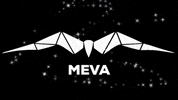 MEVA-Events party techno events familie GIF