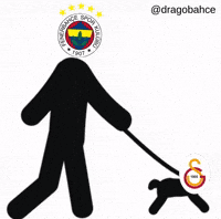 Galatasaray GIF