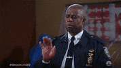 nbc brooklyn 99 GIF by Brooklyn Nine-Nine