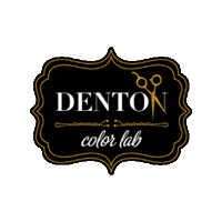 Denton Tx Sticker by Denton color lab