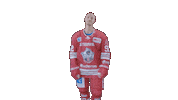 Hockey Family Sticker by Eisbären Regensburg