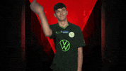Get Away Esports GIF by Bundesliga