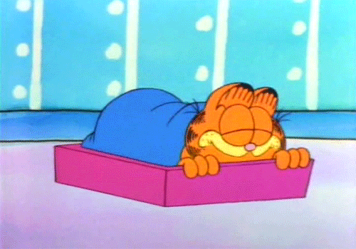 Garfield And Friends Saturday GIF by Maudit