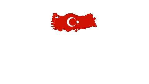 Istanbul Sticker by Turadent Clinic