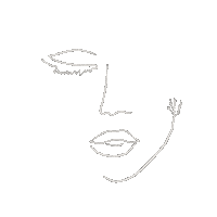 Woman Sticker by banamacomunicacion