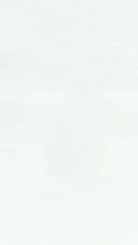 Spongebob GIF by Youtooz