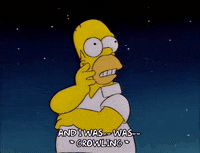 homer simpson GIF