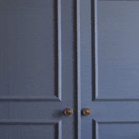 Surprise Unveiling GIF by Anna Leigh Waters