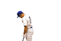 College Sports Fun Sticker by Delaware Blue Hens