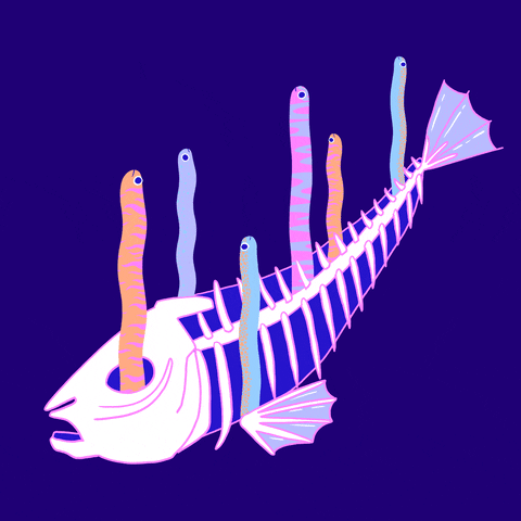 fishyfilms love happy heart smile GIF