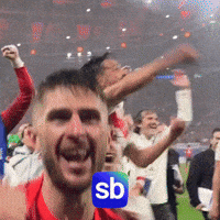 Gol GIF by Sporbulteni