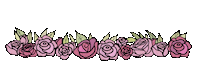 Xvsol Sticker