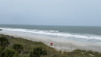 Couple Ignore Dorian's Approach and Lounge on South Carolina Beach