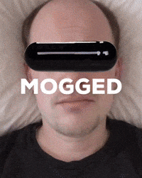 Selfimprovement Hustlehouse GIF