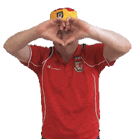 Celebrate Gareth Bale Sticker by S4C