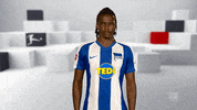 Hertha Bsc Reaction GIF by Bundesliga