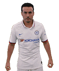 Premier League Sport Sticker by Chelsea FC