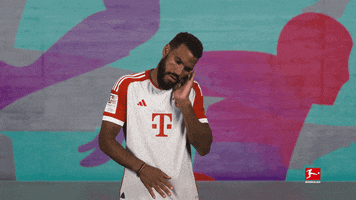 Fc Bayern Dj GIF by Bundesliga