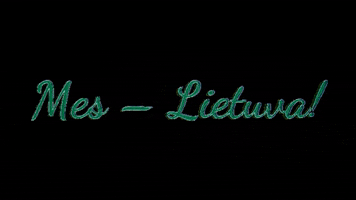 ansamblislietuva lithuania lietuva ansamblis lietuva lietuviai GIF