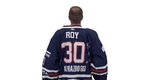 Ice Hockey Sticker by Fehervar AV19