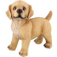 Dog Hund Sticker by Action