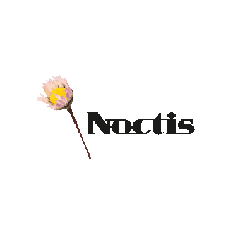Flower Sticker by noctis