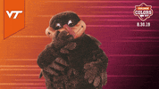 College Sports Mascots GIF by College Colors Day