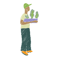 Microgreens Verticalfarming Sticker by Vertical Harvest Farms