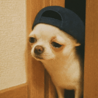 chiroroharu giphyupload puppy scared sleepy GIF