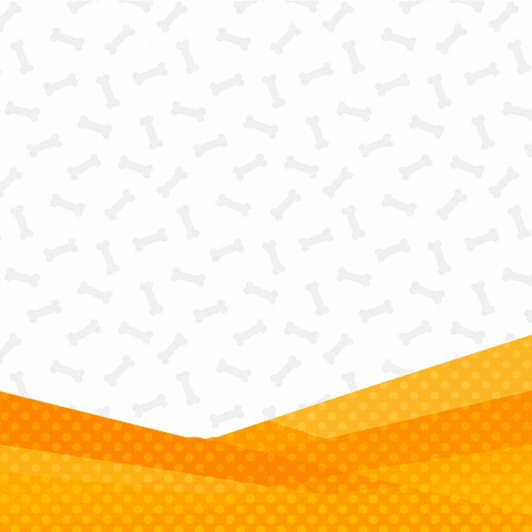 amedinaphotos giphyupload GIF