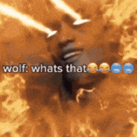 Dark Souls Owl GIF
