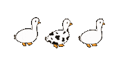 Duck Cow Sticker