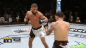 ufc 205 mma GIF by UFC
