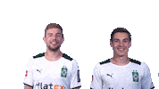 Christoph Kramer Bundesliga Sticker by Borussia Mönchengladbach