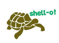Shello Sticker by World Turtle Day
