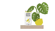 ADANyEVA lata hard seltzer coctel mandarina Sticker