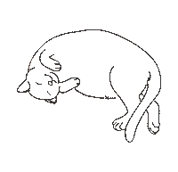 Cat Kitty Sticker