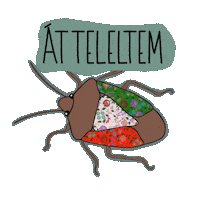 Libsi Poloska Sticker