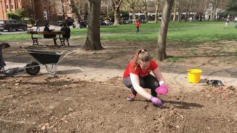 bethn90  GIF