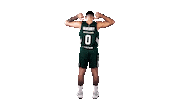 Panathinaikos Bc Paobc Sticker by 7000FM