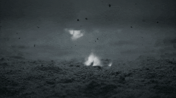 teen wolf GIF by mtv