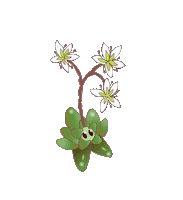 San Diego Flower Sticker by California Native Plant Society