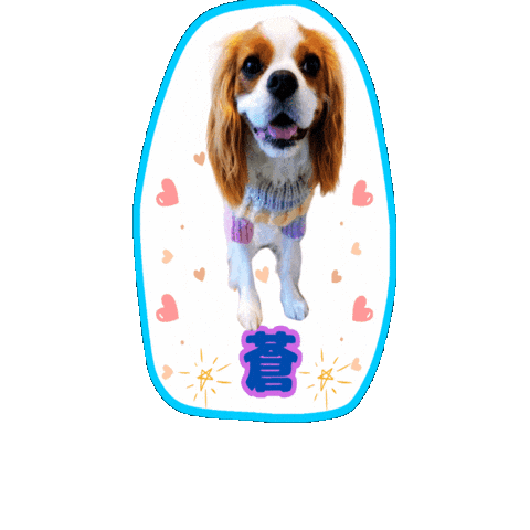 キャバスタ17 Sticker