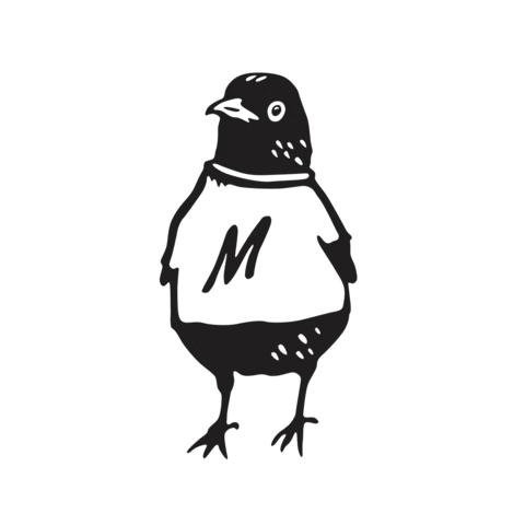 MaverickRace giphyupload Sticker