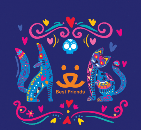 Day Of The Dead Cat GIF by Best Friends Animal Society