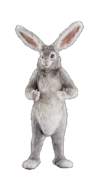 Happy Rabbit Hole Sticker by Tubi