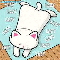Cats Silly Cat GIF by Silly Kitties
